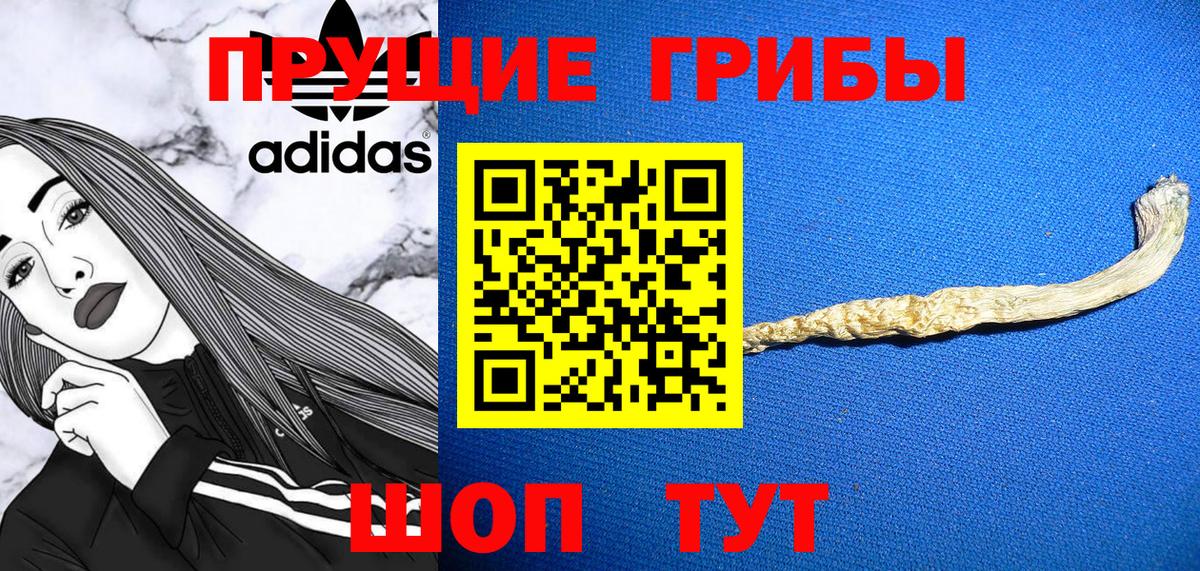 Галлюциногенные грибы GOLDEN TEACHER Черняховск