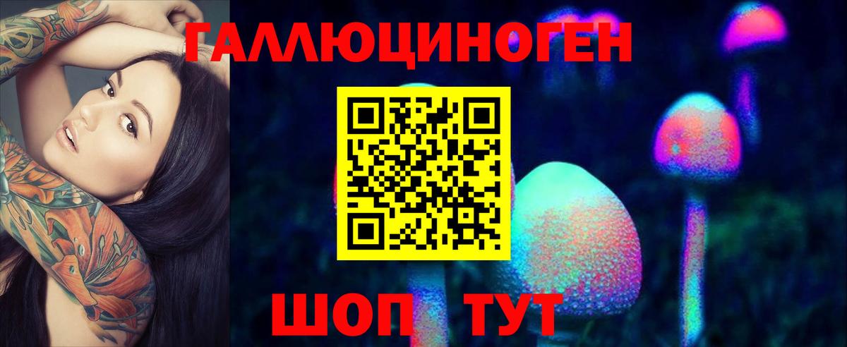 хочу наркоту  Вход с VPN  Черняховск  Псилоцибиновые грибы Psilocybine cubensis  Галлюциногенные грибы GOLDEN TEACHER 